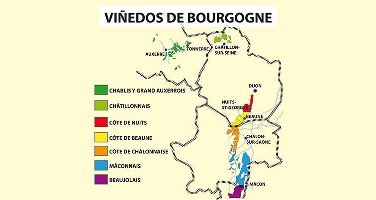 Viñedos Bourgogne.ai
