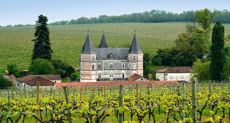 World___France_Castle_in_the_province_of_Champagne__France_073365_